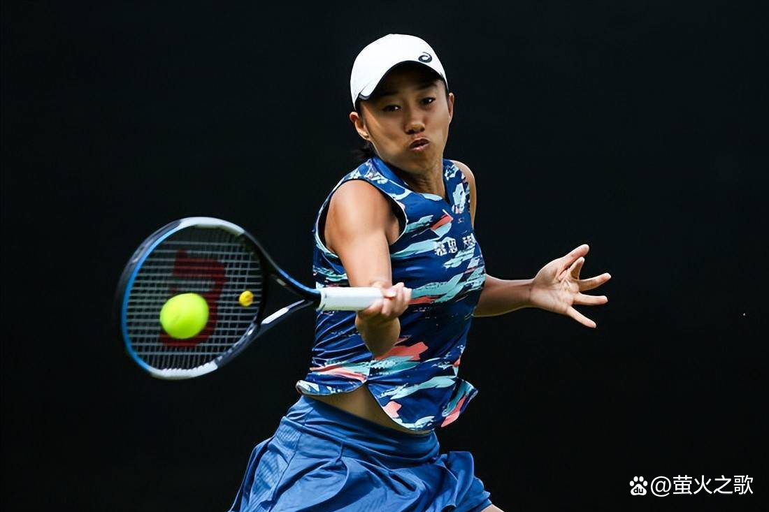 可逆下降 可逆下降