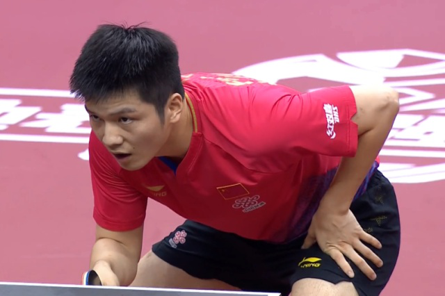 建立完善的 建立完善的